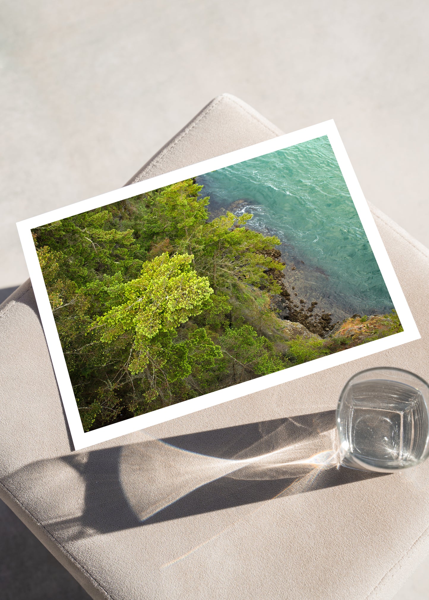 Saltwater Forest II