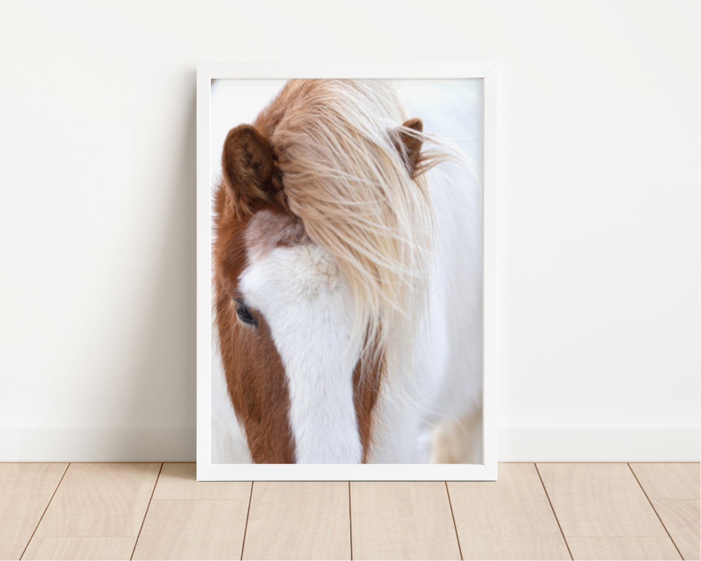 Icelandic Horse in Winter