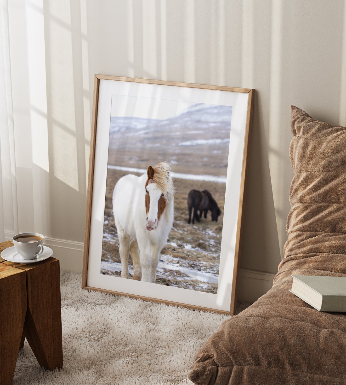 Curious Icelandic Horse