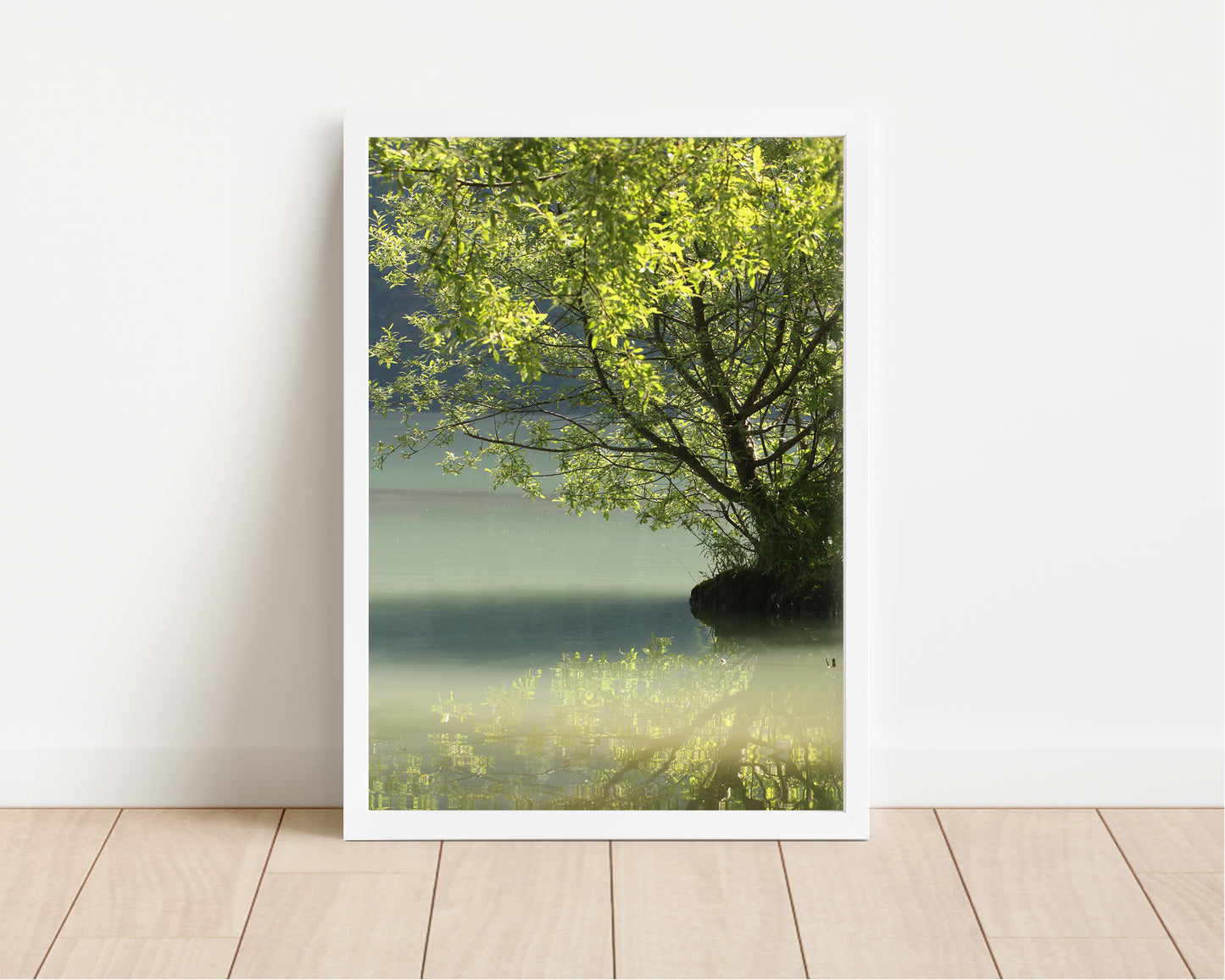 Sunken Forest