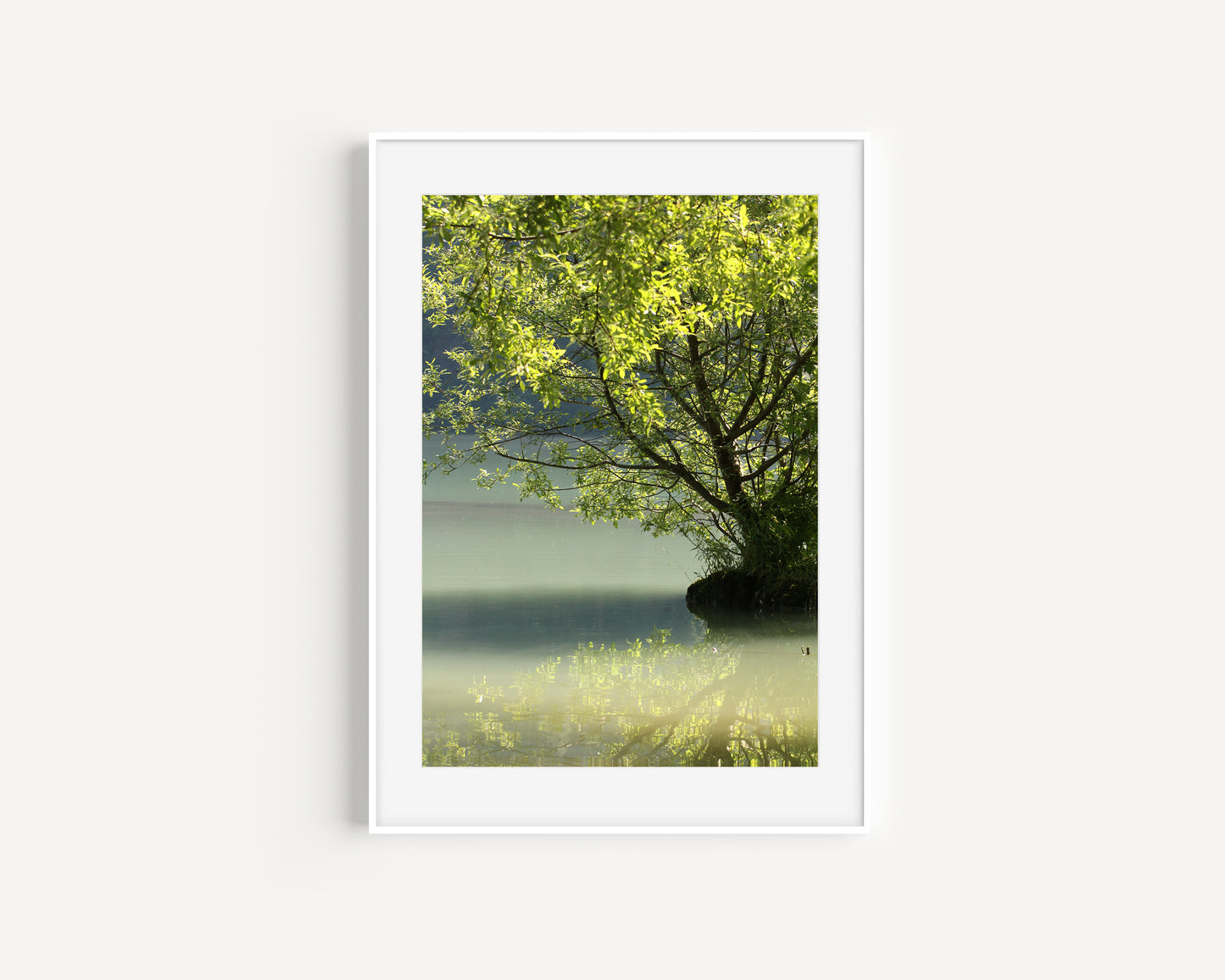 Sunken Forest